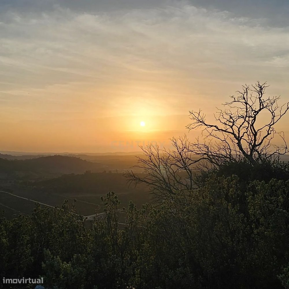 19720m² Land in Rio Maior, Portugal No. 257935