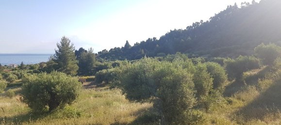 Hotel in Chalkidiki, Greece 4500m², Nr. 4883 2