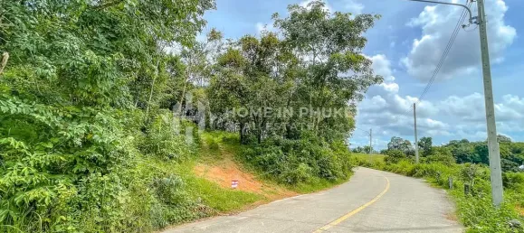  قطعة أرض في Phuket, Thailand رقم 85509 7