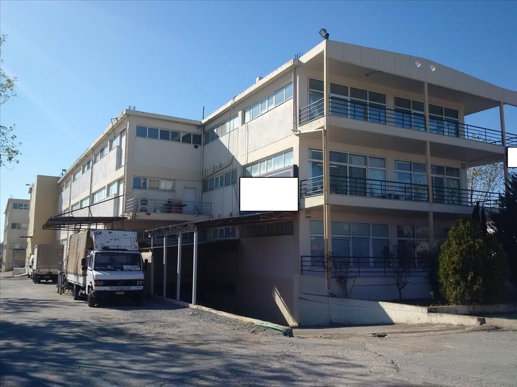 7700m² Maisonette in Oraiokastro, Greece No. 5963