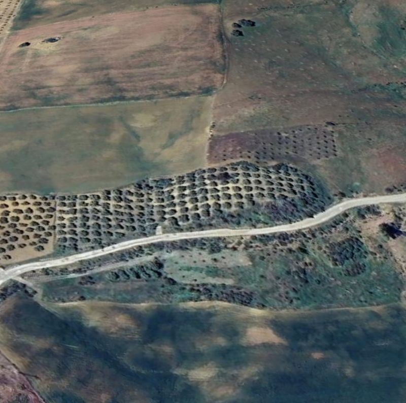  قطعة أرض في Coin, Spain 13000متر مربع رقم 142009