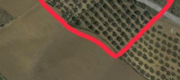  قطعة أرض في Coin, Spain 13000متر مربع رقم 142009 2