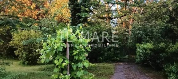 3 bedrooms Villa in Massa, Italy No. 49409 29