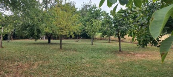 5 bedrooms House in Mirande, France No. 301851 5