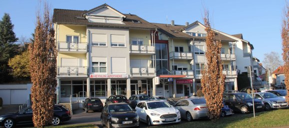 149m² Commercial property in Enzkreis, Germany No. 51206 2