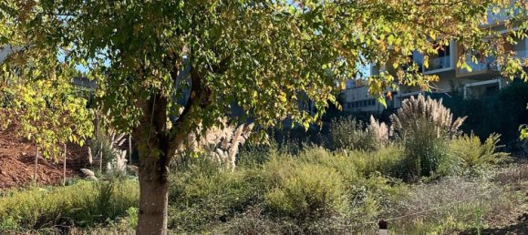 Grundstück in Vila Nova de Gaia, Portugal, Nr. 189918 2