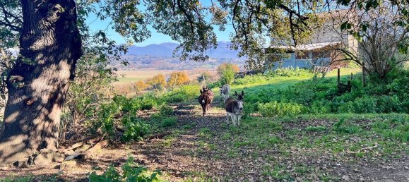 5-Zimmer Haus in Ponzano Romano, Italy, Nr. 144564 24