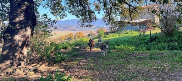 5-Zimmer Haus in Ponzano Romano, Italy, Nr. 144564 2
