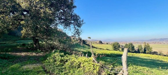 5-Zimmer Haus in Ponzano Romano, Italy, Nr. 144564 14