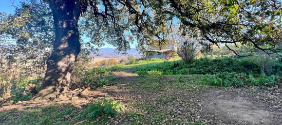 5-Zimmer Haus in Ponzano Romano, Italy, Nr. 144564 42