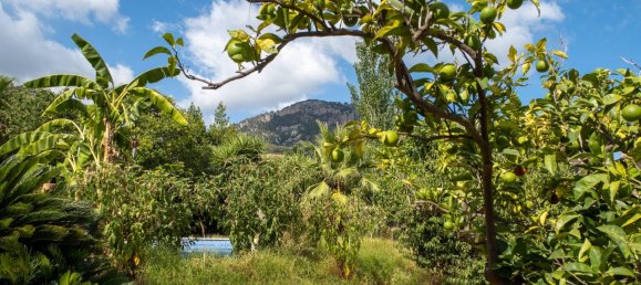 4 bedrooms Villa in Soller, Spain No. 266379 13