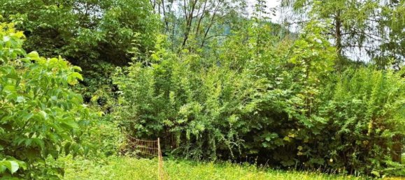 7غرفة منزل في Trofaiach, Austria رقم 228695 15