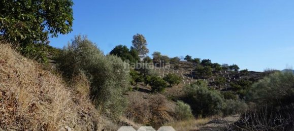 Дом с 3 спальнями в Виньюэла, Испания № 128497 11