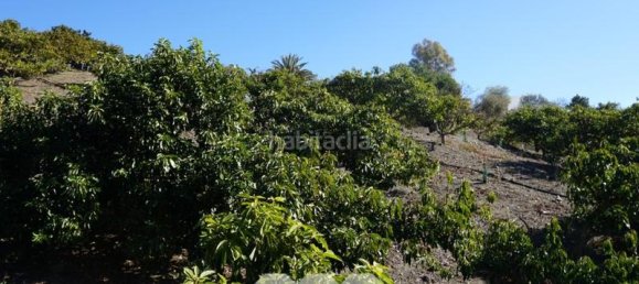 Дом с 3 спальнями в Виньюэла, Испания № 128497 9