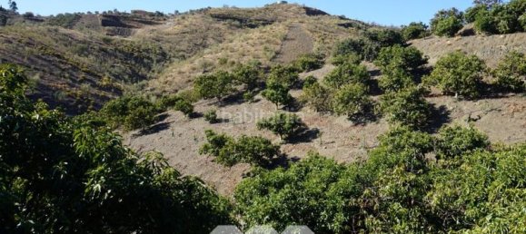 Дом с 3 спальнями в Виньюэла, Испания № 128497 10