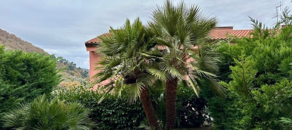 2 rooms Apartment in Diano Arentino, Italy No. 109041 16