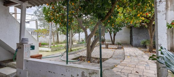 Casa de 3 dormitorios en Abrantes, Portugal No. 28944 11