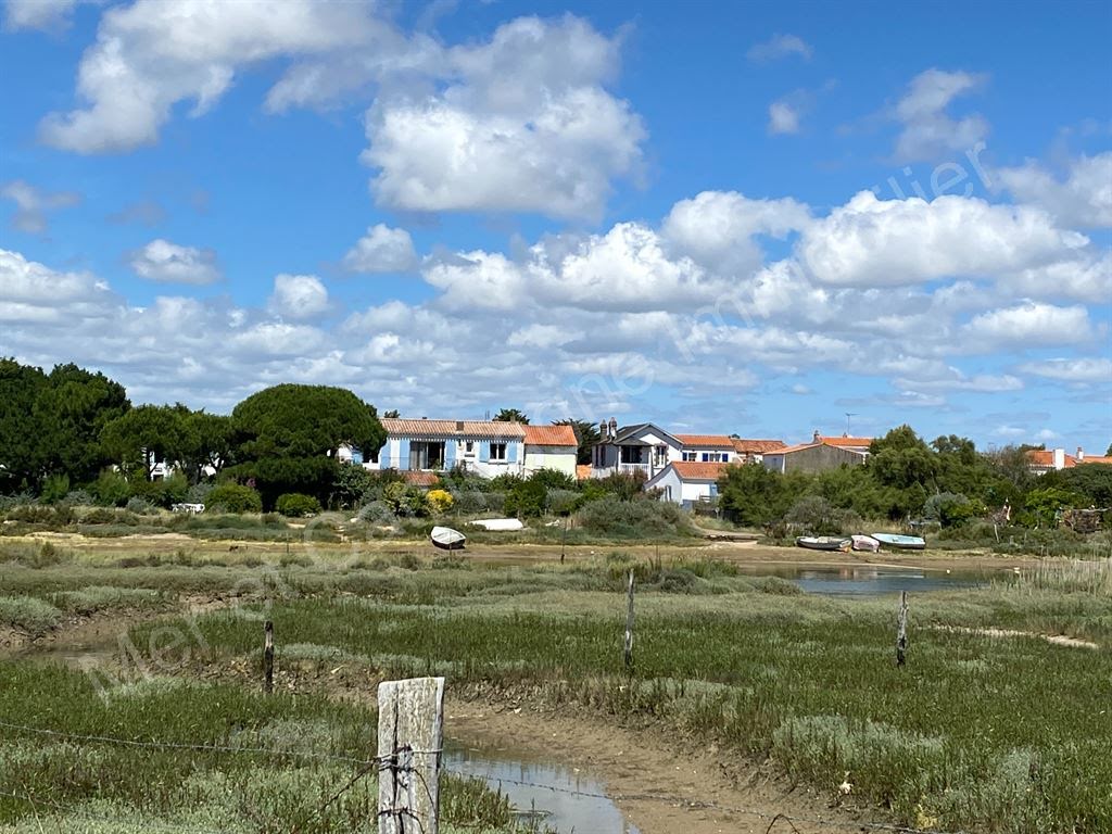 309m² Land in Brem-sur-Mer, France No. 299156