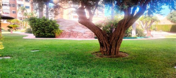 3 Schlafzimmer Wohnung in Cabo De Las Huertas, Spain, Nr. 186722 25