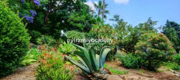 10 غرف نوم منزل في Benalmadena, Spain رقم 139604 23