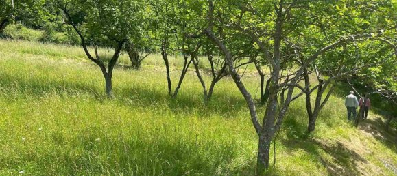 Estudio en Massa, Italy No. 261554 3