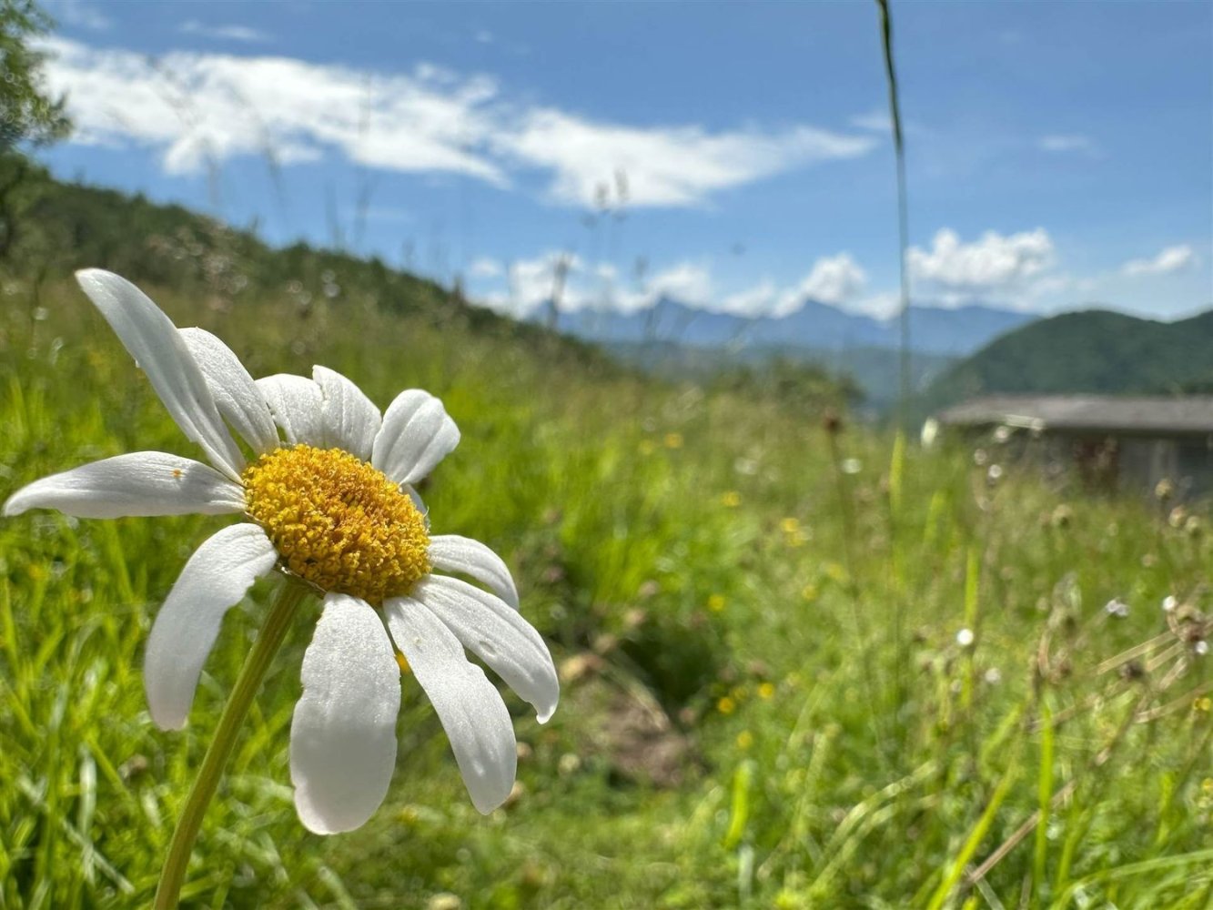 Estudio en Massa, Italy No. 261554