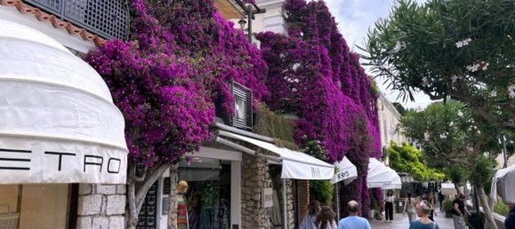 2 bedrooms Apartment in Capri, Italy No. 124719 4