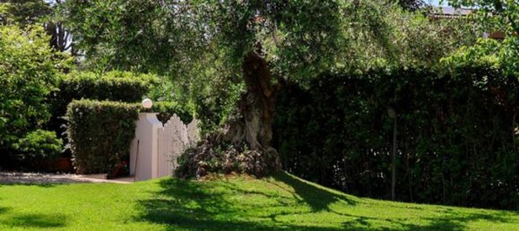 6-Zimmer Villa in Rome, Italy, Nr. 48277 25