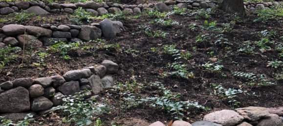 Bungalow T2 em Magdeburg, Germany N.º 221310 9