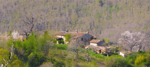 7 bedrooms House in Santa Fiora, Italy No. 40687 4