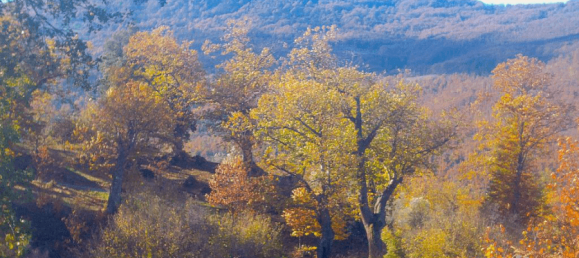 7 bedrooms House in Santa Fiora, Italy No. 40687 32