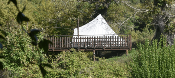 7 bedrooms House in Santa Fiora, Italy No. 40687 29