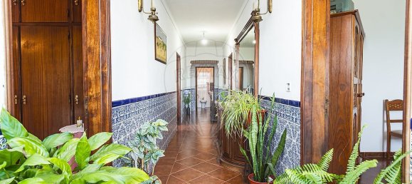3 Schlafzimmer Haus in Portel, Portugal, Nr. 169942 8