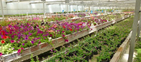 4800m² Property in Pieria, Greece No. 7795 6