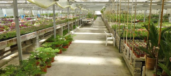 4800m² Property in Pieria, Greece No. 7795 5