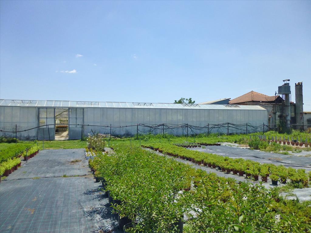 4800m² Property in Pieria, Greece No. 7795