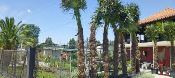 4800m² Property in Pieria, Greece No. 7795 13