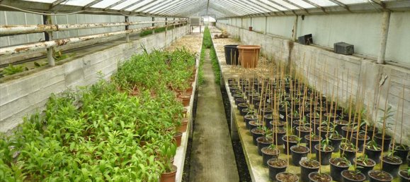 4800m² Property in Pieria, Greece No. 7795 8