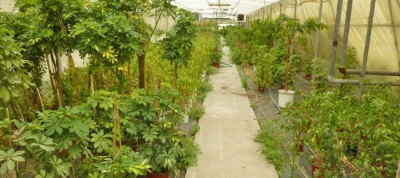 4800m² Property in Pieria, Greece No. 7795 9