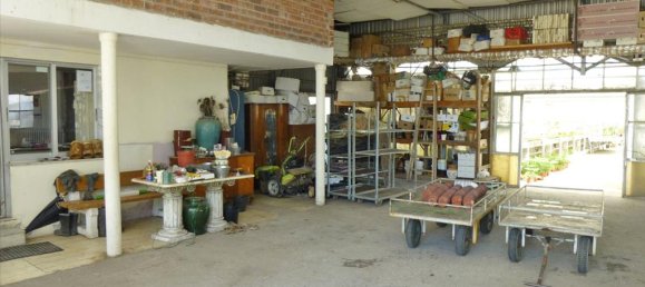 4800m² Property in Pieria, Greece No. 7795 3