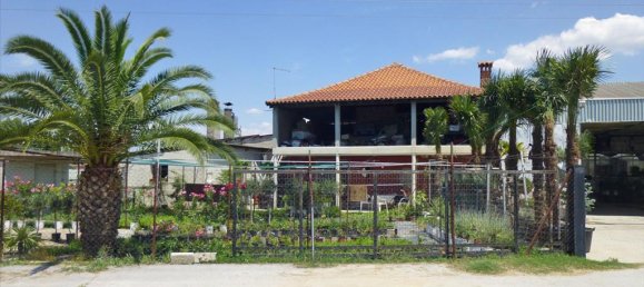 4800m² Property in Pieria, Greece No. 7795 2