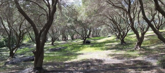 8000m² Hotel in Corfu, Greece No. 3652 2