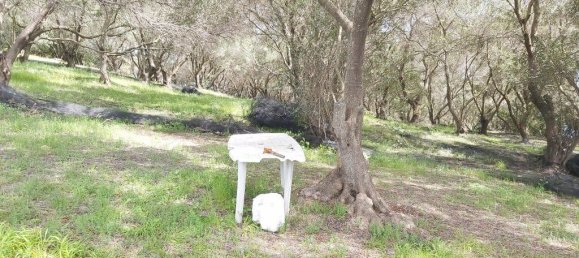 8000m² Hotel in Corfu, Greece No. 3652 10