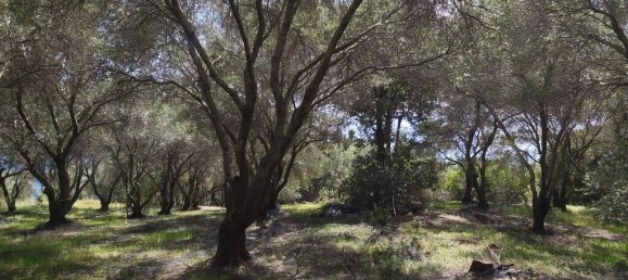 8000m² Hotel in Corfu, Greece No. 3652 4