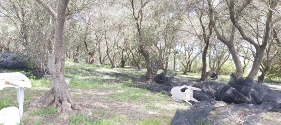 8000m² Hotel in Corfu, Greece No. 3652 11