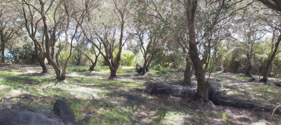 8000m² Hotel in Corfu, Greece No. 3652 8