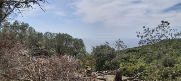 8000m² Hotel in Corfu, Greece No. 3652 9