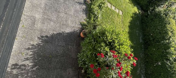 5 Schlafzimmer Stadthaus in Trier, Germany, Nr. 273768 2