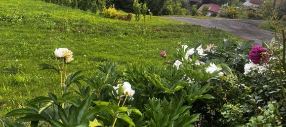 7 rooms House in Rotenturm an der Pinka, Austria No. 224534 42