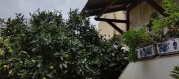 4 bedrooms House in Granada, Spain No. 174549 16